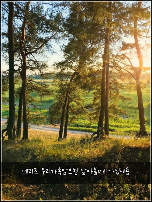 메리츠 우리가족암보험 알아볼때  가입내용