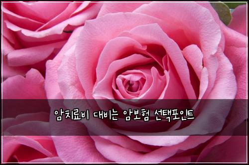 암치료비 대비는 암보험 선택포인트 
