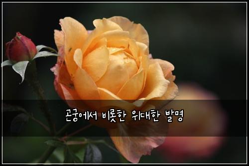 ๊ณค๊ถ์์ ๋น๋กฏํ ์๋ํ ๋ฐ๋ช
