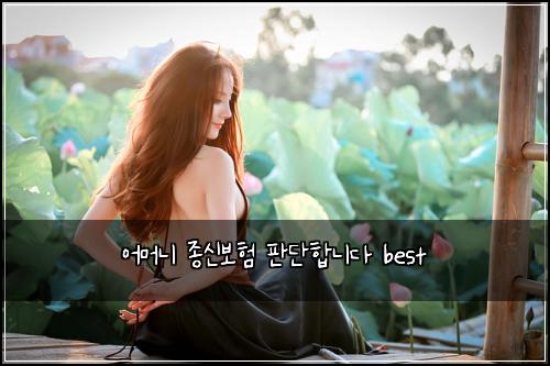 어머니 종신보험 판단합니다  best