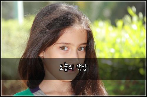 오늘의 색상