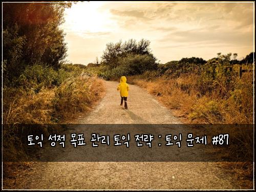 토익 성적 목표 관리 토익 전략 : 토익 문제 #87