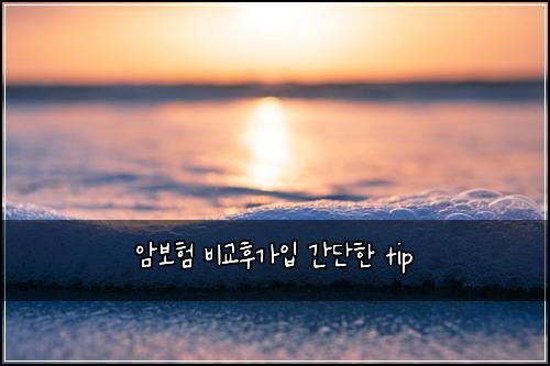 암보험 비교후가입  간단한 tip