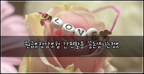 μκΈλ³΄μ₯μ보ν κ°νΈνμ© κ½λμκΈ°λμ 보