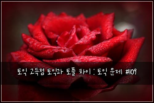 토익 고득점 토익과 토플 차이 : 토익 문제 #109