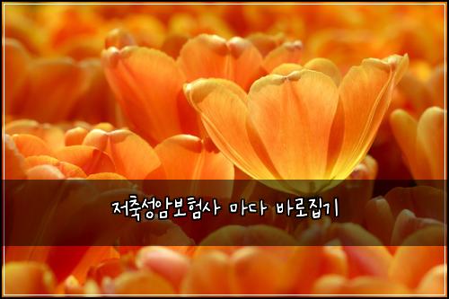 ์ ์ถ์ฑ์๋ณดํ์ฌ ๋ง๋ค ๋ฐ๋ก์ง๊ธฐ