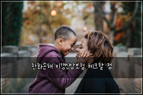 한화손해 비갱신암보험 체크할 점
