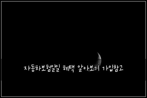์๋์ฐจ๋ณดํ์ผ์ผ ํํ ์์๋ณด๊ธฐ ๊ฐ์
์ฐธ๊ณ