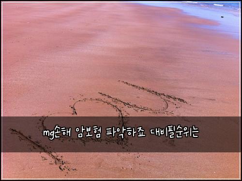 mg์ํด ์๋ณดํ ํ์
ํ์ฃ ๋๋นํ์์๋