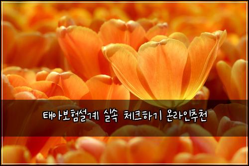 ํ์๋ณดํ์ค๊ณ ์ค์ ์ฒดํฌํ๊ธฐ ์จ๋ผ์ธ์ถ์ฒ