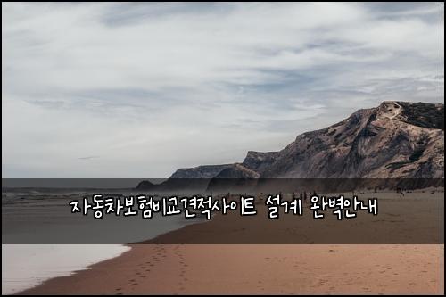 자동차보험비교견적사이트 설계 완벽안내