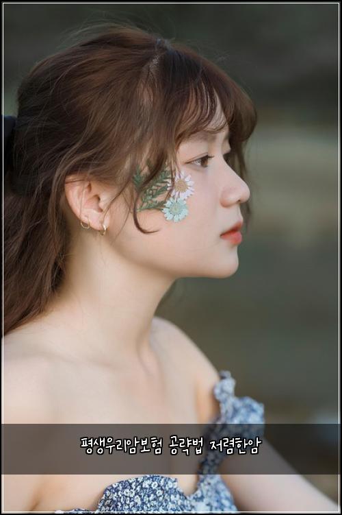 ํ์์ฐ๋ฆฌ์๋ณดํ ๊ณต๋ต๋ฒ ์ ๋ ดํ์