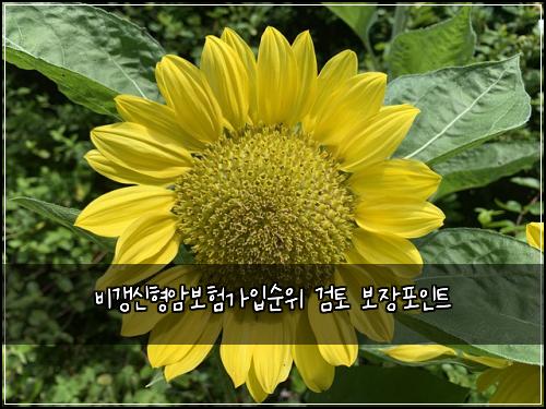 ๋น๊ฐฑ์ ํ์๋ณดํ๊ฐ์
์์ ๊ฒํ ๋ณด์ฅํฌ์ธํธ