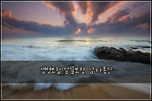 ์๋ช
๋ณดํ ์๋ฐ๋ณด์ฅ ๋จ์์ข
์