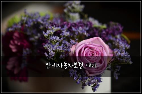 ์๋ด์๋์ฐจ๋ณดํ ๋๋น