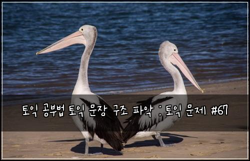 ํ ์ต ๊ณต๋ถ๋ฒ ํ ์ต ๋ฌธ์ฅ ๊ตฌ์กฐ ํ์
: ํ ์ต ๋ฌธ์ #67