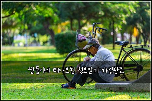μλ₯μ΄λ€ νμ보ν μ 보λ°κΈ° κ°μ
μλ£