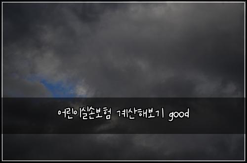 어린이실손보험 계산해보기  good