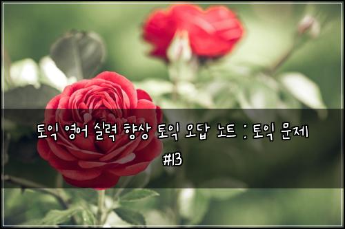 ํ ์ต ์์ด ์ค๋ ฅ ํฅ์ ํ ์ต ์ค๋ต ๋
ธํธ : ํ ์ต ๋ฌธ์ #13