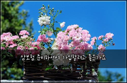 암보험 준비하세여  가입할려고 좋은가요