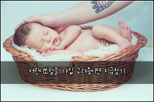 어린이보험을 가입 고려중이면 지금찾기
