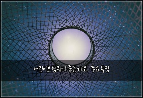 ์ด๋ฆฐ์ด๋ณดํ๋ญ๊ฐ์ข์๊ฐ์ ์ฃผ์ํน์ง