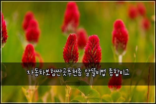 ์๋์ฐจ๋ณดํ์ผ๊ณณ์ถ์ฒ์ข ์๋ฐ๋น๋ฒ ์ข
ํฉ๋น๊ต
