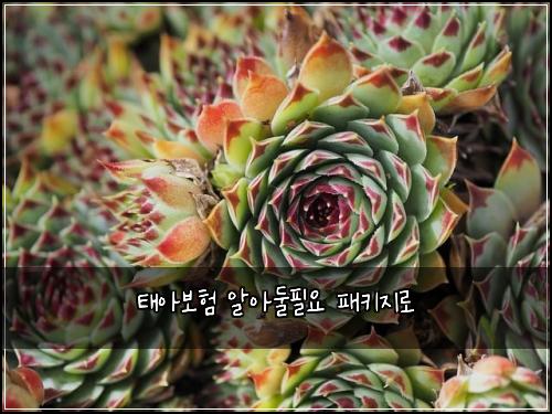 ํ์๋ณดํ ์์๋ํ์ ํจํค์ง๋ก