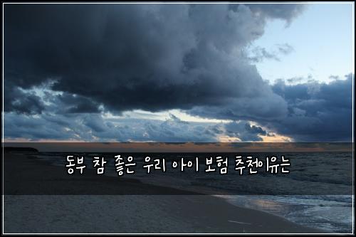 ๋๋ถ ์ฐธ ์ข์ ์ฐ๋ฆฌ ์์ด ๋ณดํ ์ถ์ฒ์ด์ ๋