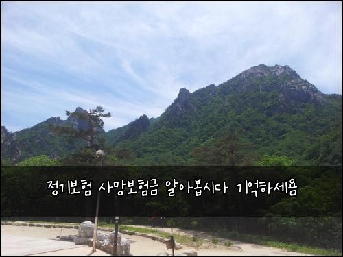 정기보험 사망보험금 알아봅시다 기억하세욤