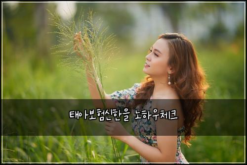 ํ์๋ณดํ์ ํ์ ๋
ธํ์ฐ์ฒดํฌ