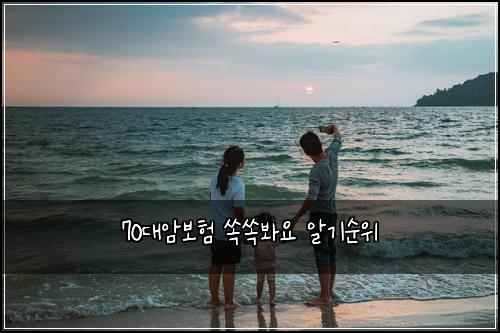 70๋์๋ณดํ ์์๋ด์ ์๊ธฐ์์