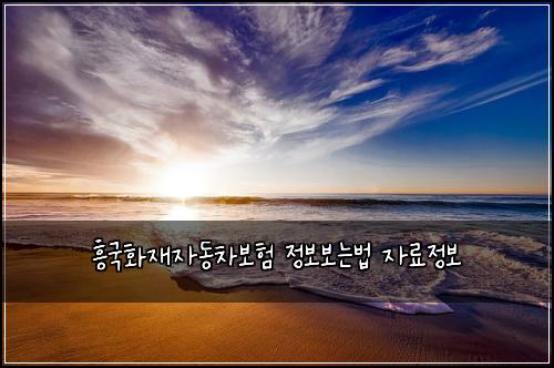 ν₯κ΅νμ¬μλ차보ν μ 보보λλ² μλ£μ 보