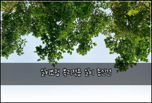 ์ค๋น๋ณดํ ๋ณต๋ฆฌ์ ์ฉ ์ค๋น ์ข
์ ๊ฑด