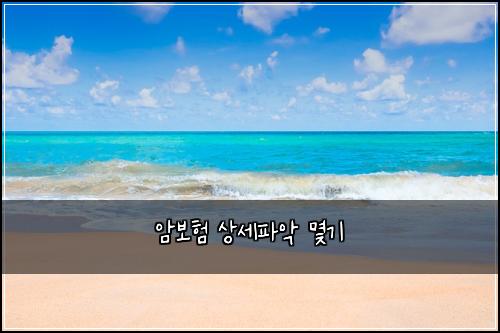 ์๋ณดํ ์์ธํ์
๋ช๊ธฐ