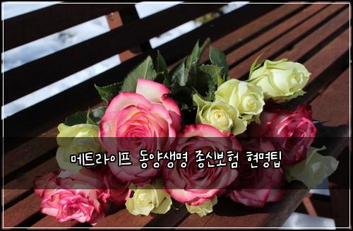 메트라이프 동양생명 종신보험 현명팁 
