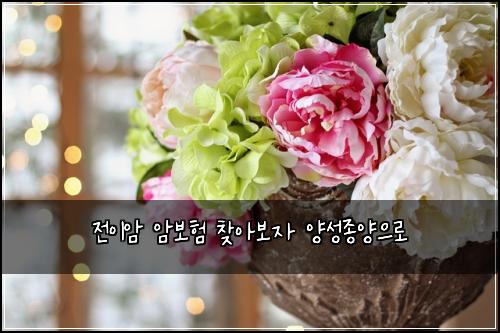 전이암 암보험 찾아보자  양성종양으로