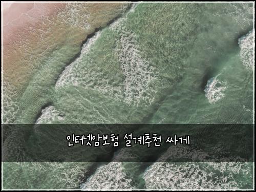 인터넷암보험 설계추천  싸게