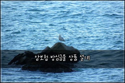 ์๋ณดํ ๋ฐฉ์ฌ๊ธ๋ฌผ ์ํ ์ค๊ณ