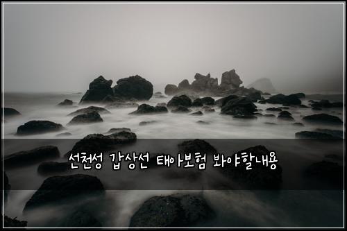 선천성 갑상선 태아보험 봐야할내용 