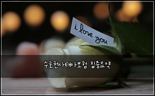 ์ํธ์ฒ์ฌํ์๋ณดํ ์ง์ค์์ฝ