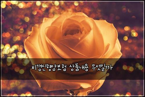 λΉκ°±μ νμ보ν μνλ΄μ© 무μμΌκΉ