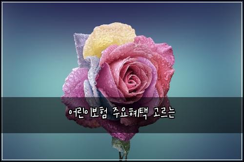 어린이보험 주요혜택  고르는