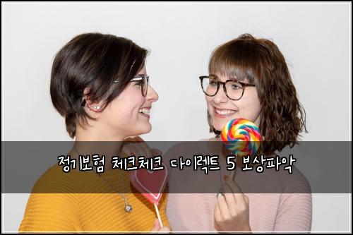 정기보험 체크체크  다이렉트 5 보상파악