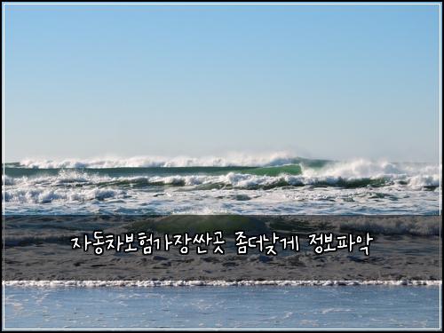 자동차보험가장싼곳 좀더낮게 정보파악