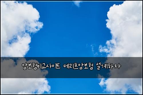 암보험비교사이트 메리츠암보험 설계하자