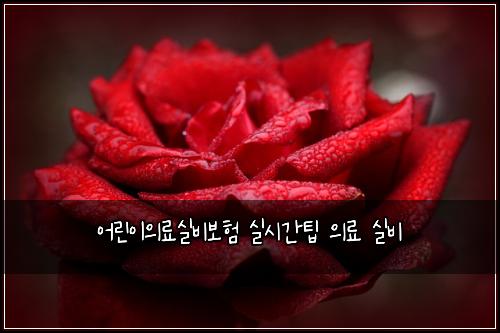 ์ด๋ฆฐ์ด์๋ฃ์ค๋น๋ณดํ ์ค์๊ฐํ ์๋ฃ ์ค๋น