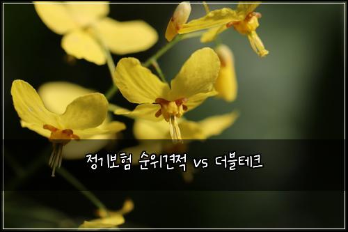 정기보험 순위견적  vs 더블테크