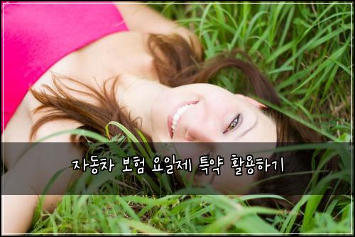 자동차 보험 요일제 특약 활용하기