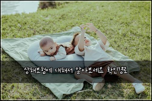 상해보험에 대해서 알아보세요 확인경로